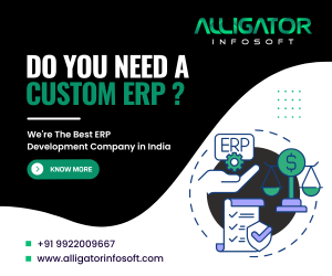 Aliigator Infosoft Bannner